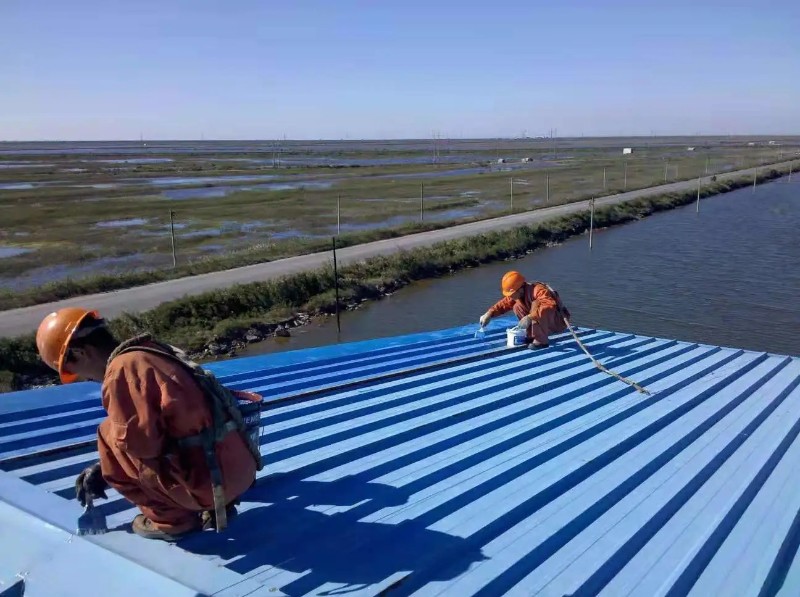 禹王台钢结构屋面漏水原因